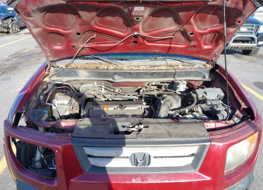 Photo 10 of 2008 Honda Element EX (VIN 5J6YH18748L007590)