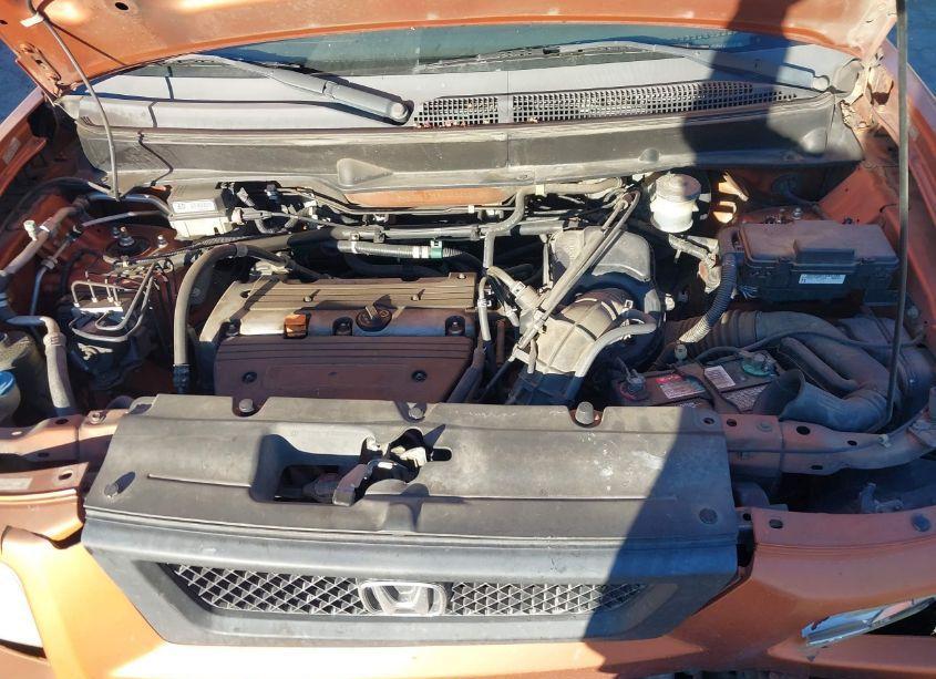 Photo 10 of 2006 Honda Element EX-P (VIN 5J6YH18766L016336)