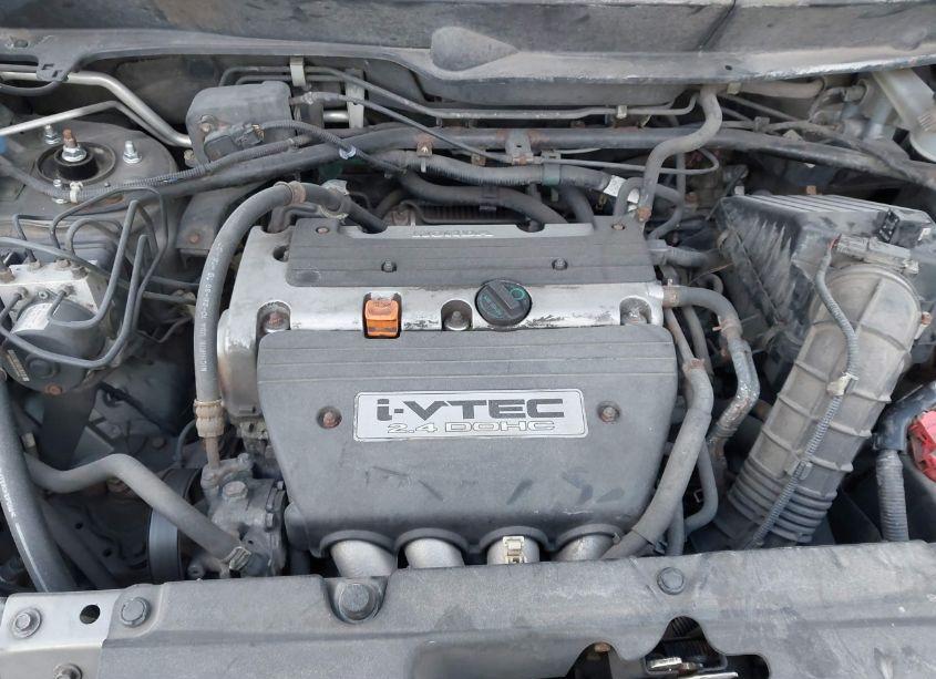 Photo 10 of 2008 Honda Element EX (VIN 5J6YH18768L015643)