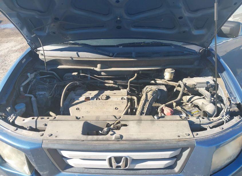 Photo 10 of 2008 Honda Element EX (VIN 5J6YH18788L017507)