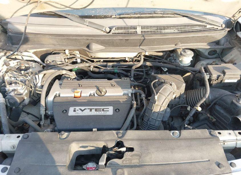 Photo 10 of 2007 Honda Element EX (VIN 5J6YH18797L000214)