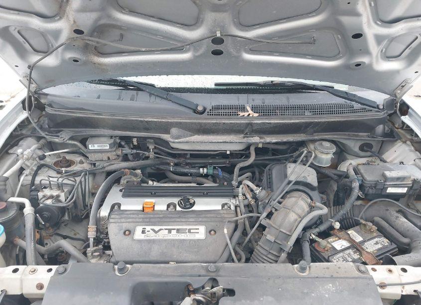 Photo 10 of 2006 Honda Element EX-P (VIN 5J6YH187X6L013925)