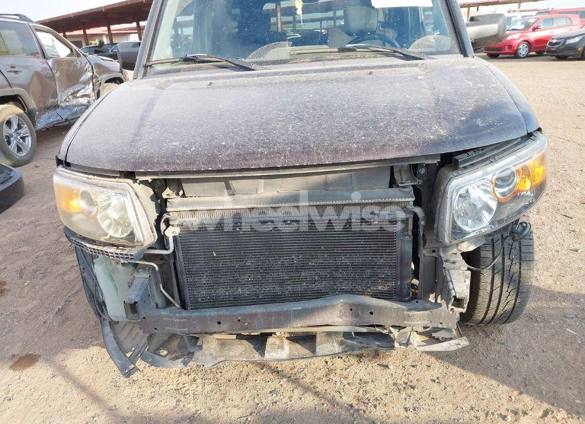 Photo 13 of 2007 Honda Element SC (VIN 5J6YH18917L012701)