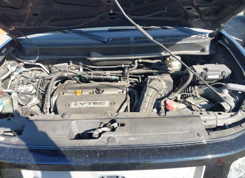 Photo 10 of 2008 Honda Element SC (VIN 5J6YH18948L006019)