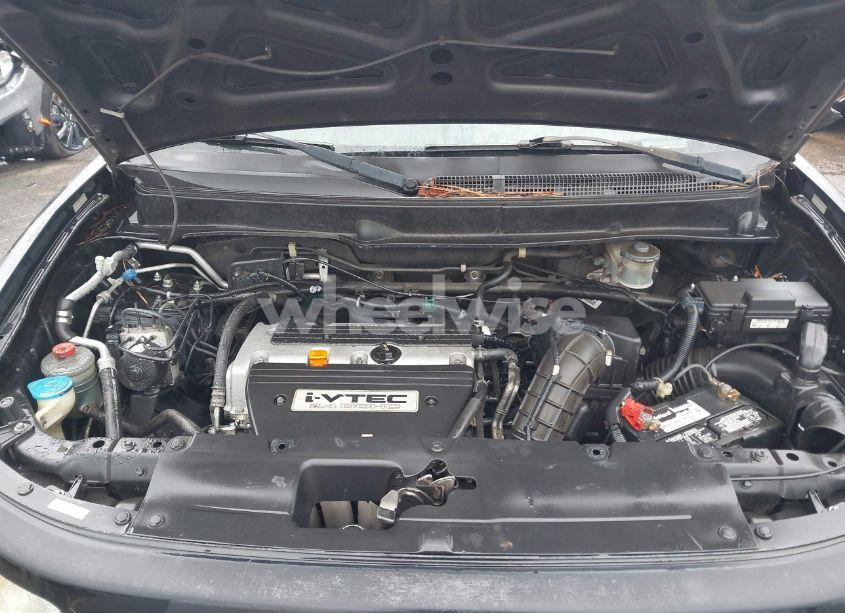 Photo 10 of 2008 Honda Element SC (VIN 5J6YH18988L014995)