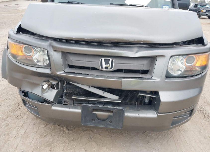 Photo 6 of 2008 Honda Element SC (VIN 5J6YH189X8L006798)