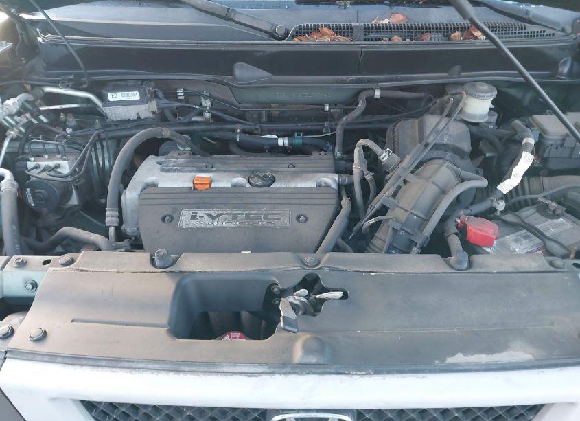 Photo 10 of 2005 Honda Element EX (VIN 5J6YH27605L030942)