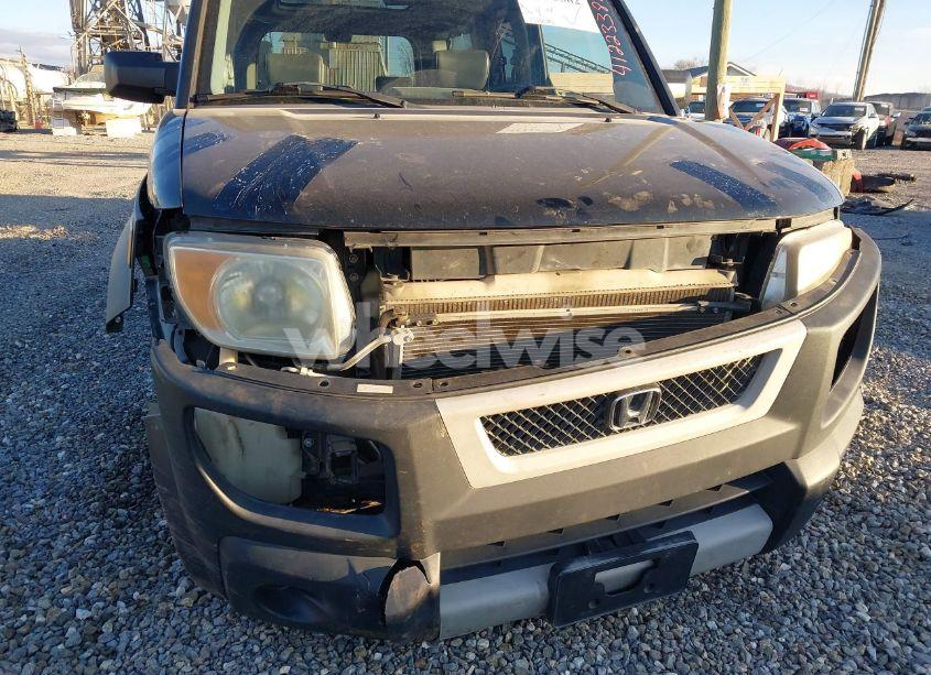 Photo 6 of 2006 Honda Element LX (VIN 5J6YH283X6L019579)