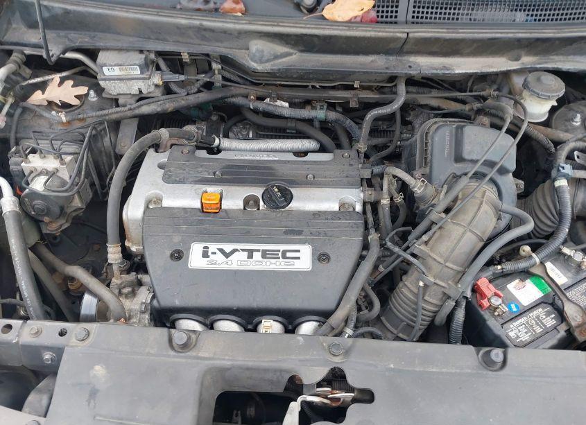 Photo 10 of 2003 Honda Element EX (VIN 5J6YH28513L002067)