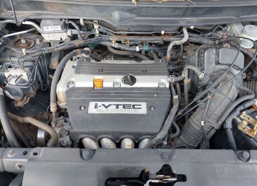 Photo 10 of 2004 Honda Element EX (VIN 5J6YH28524L015069)