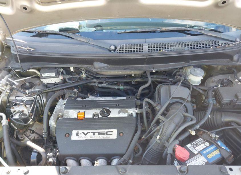 Photo 10 of 2004 Honda Element EX (VIN 5J6YH28534L008373)