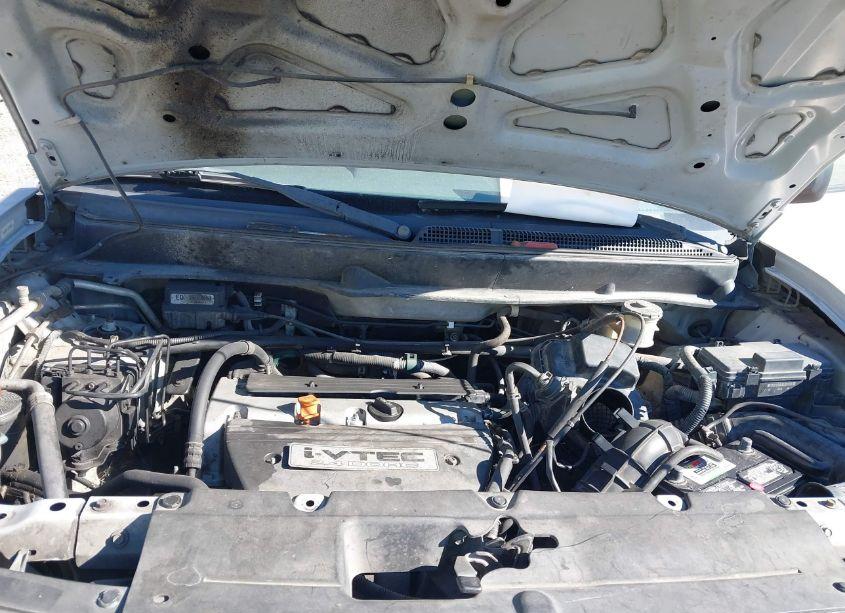 Photo 10 of 2003 Honda Element EX (VIN 5J6YH28543L053708)