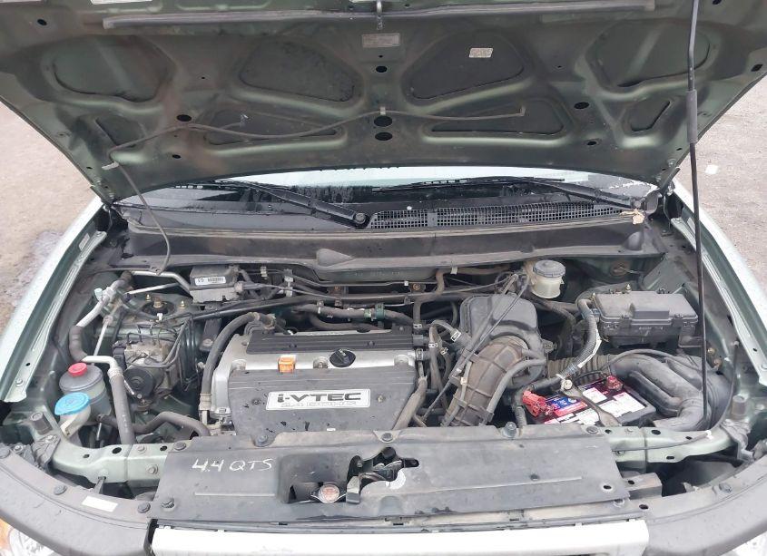 Photo 10 of 2004 Honda Element EX (VIN 5J6YH28554L030830)