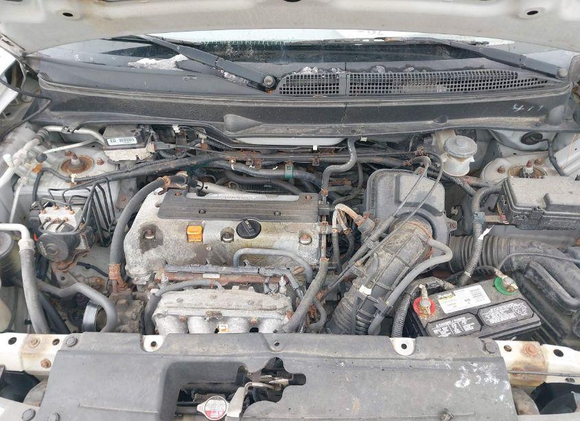 Photo 10 of 2003 Honda Element EX (VIN 5J6YH28563L003019)