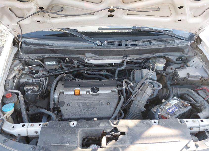 Photo 10 of 2003 Honda Element EX (VIN 5J6YH28573L016099)