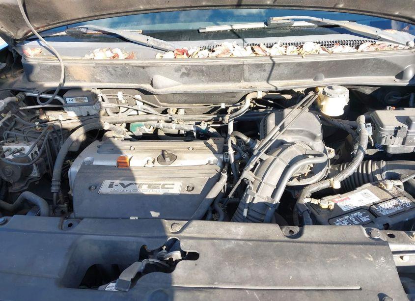 Photo 10 of 2003 Honda Element EX (VIN 5J6YH28583L025300)