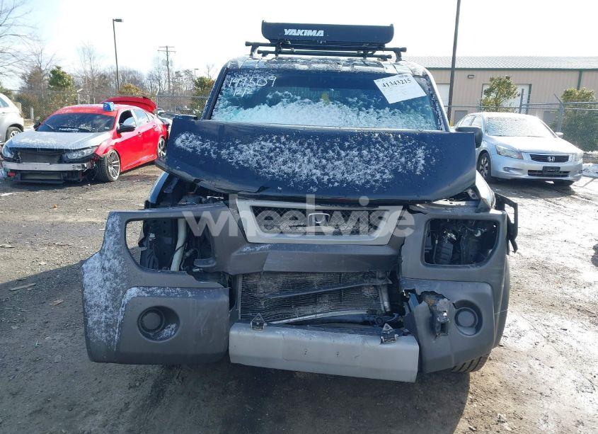 Photo 12 of 2004 Honda Element EX (VIN 5J6YH28594L008247)