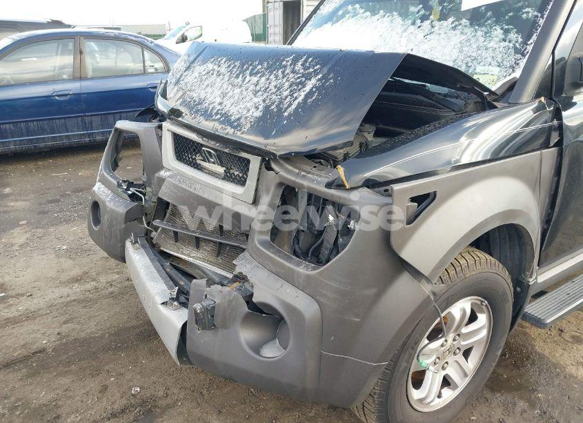 Photo 6 of 2004 Honda Element EX (VIN 5J6YH28594L008247)