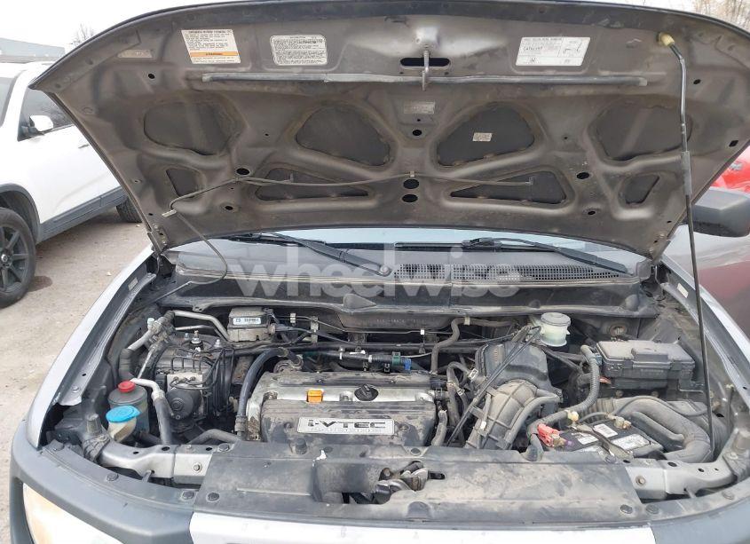 Photo 10 of 2005 Honda Element EX (VIN 5J6YH28605L005716)