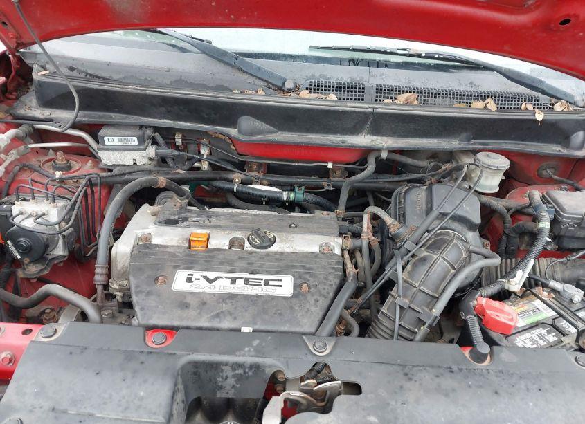 Photo 10 of 2005 Honda Element EX (VIN 5J6YH28605L033032)