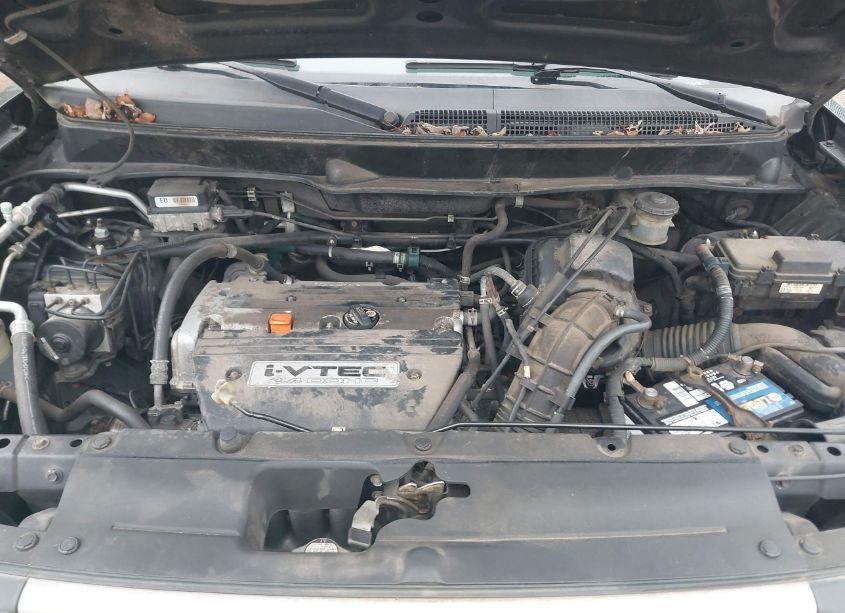 Photo 10 of 2006 Honda Element EX (VIN 5J6YH28626L016041)