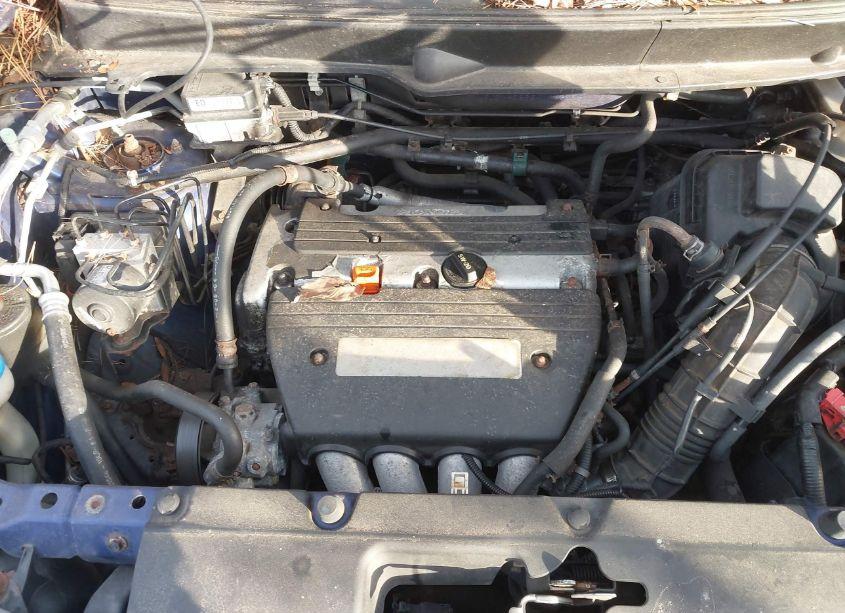 Photo 10 of 2004 Honda Element EX (VIN 5J6YH28634L036215)