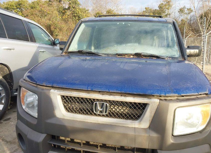 Photo 6 of 2004 Honda Element EX (VIN 5J6YH28634L036215)