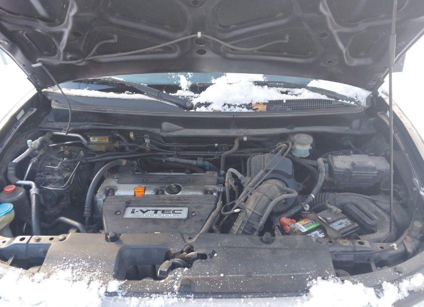 Photo 10 of 2003 Honda Element EX (VIN 5J6YH28653L051751)