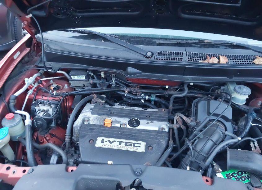 Photo 10 of 2004 Honda Element EX (VIN 5J6YH28664L023040)