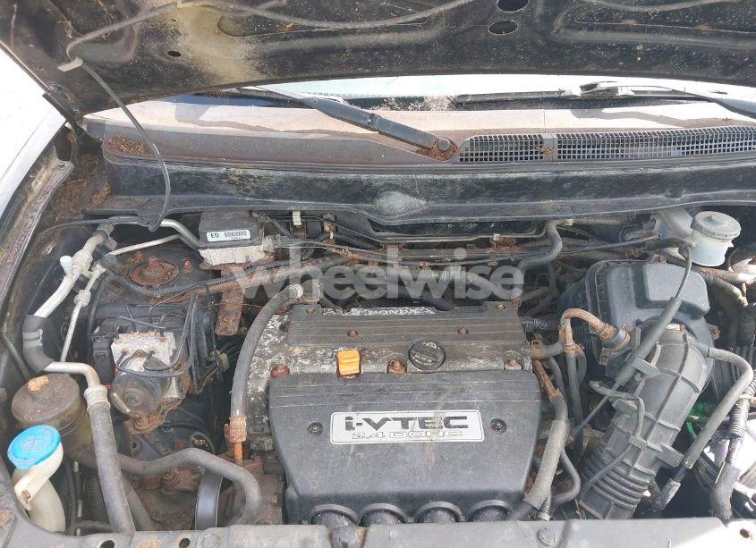 Photo 10 of 2005 Honda Element EX (VIN 5J6YH28675L034307)