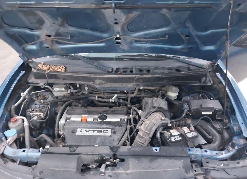 Photo 10 of 2006 Honda Element EX (VIN 5J6YH28696L000886)