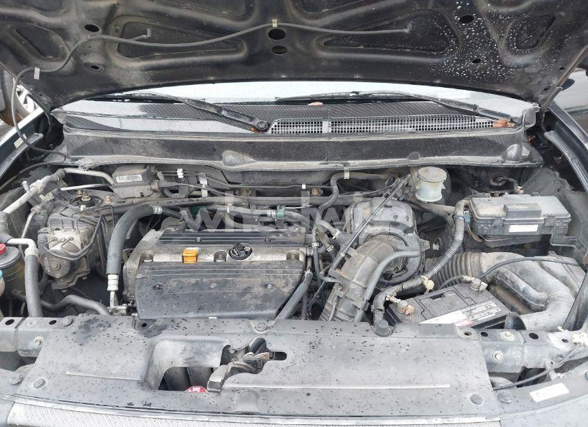 Photo 10 of 2005 Honda Element EX (VIN 5J6YH286X5L028193)