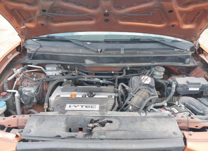 Photo 10 of 2006 Honda Element EX-P (VIN 5J6YH28706L005984)