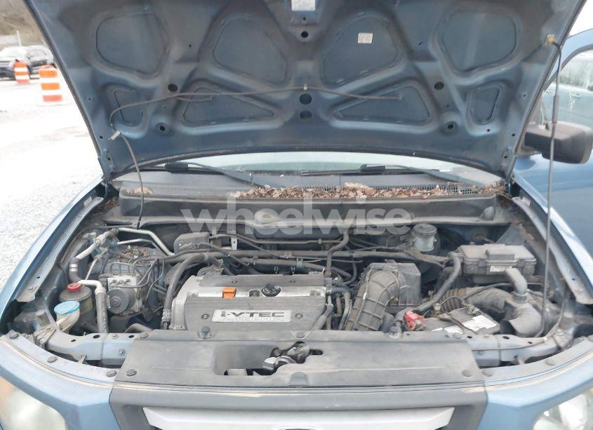 Photo 10 of 2008 Honda Element EX (VIN 5J6YH28718L001509)