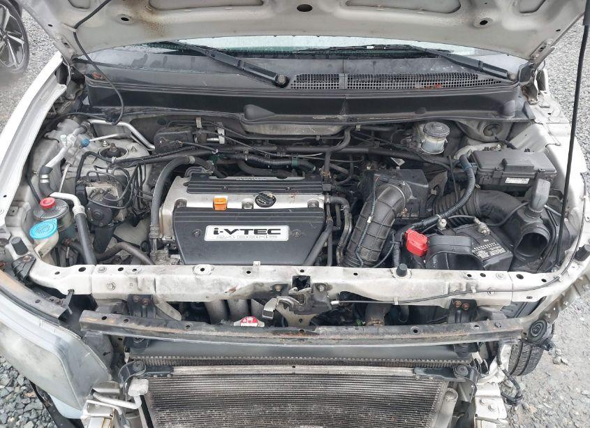 Photo 10 of 2008 Honda Element EX (VIN 5J6YH28728L008310)