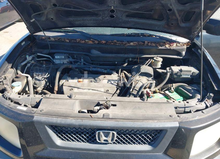 Photo 10 of 2006 Honda Element EX-P (VIN 5J6YH28736L017451)