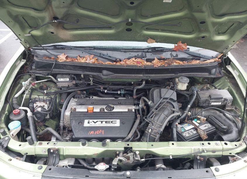 Photo 10 of 2006 Honda Element EX-P (VIN 5J6YH28736L018809)