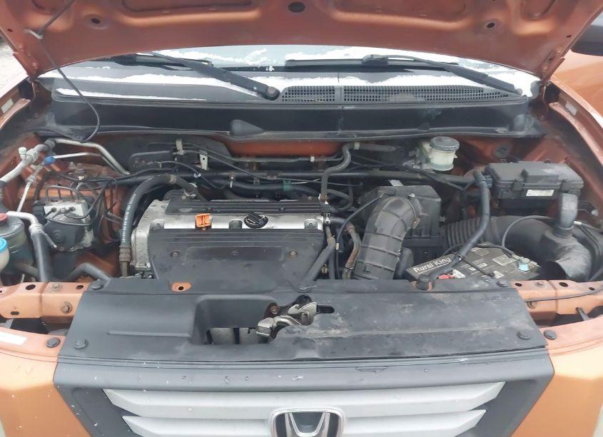 Photo 10 of 2008 Honda Element EX (VIN 5J6YH28738L002239)