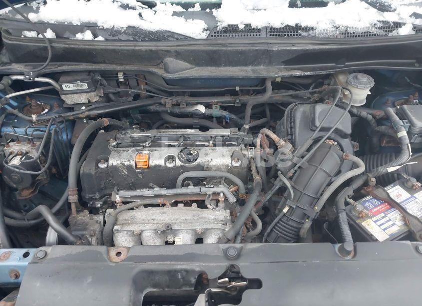 Photo 10 of 2006 Honda Element EX-P (VIN 5J6YH28776L024368)