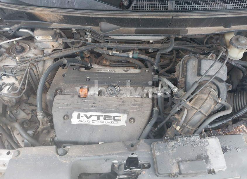 Photo 10 of 2006 Honda Element EX-P (VIN 5J6YH28786L022581)