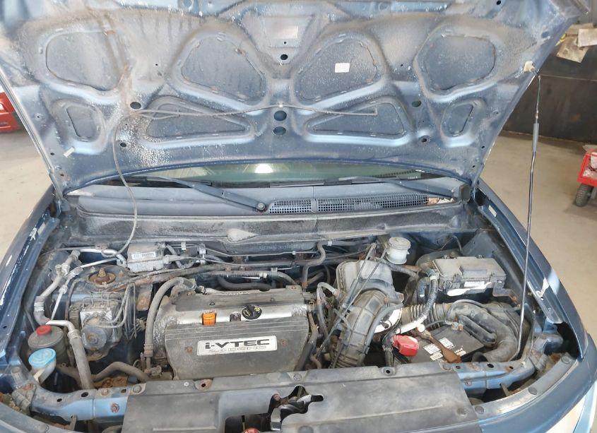 Photo 10 of 2006 Honda Element EX-P (VIN 5J6YH287X6L000405)