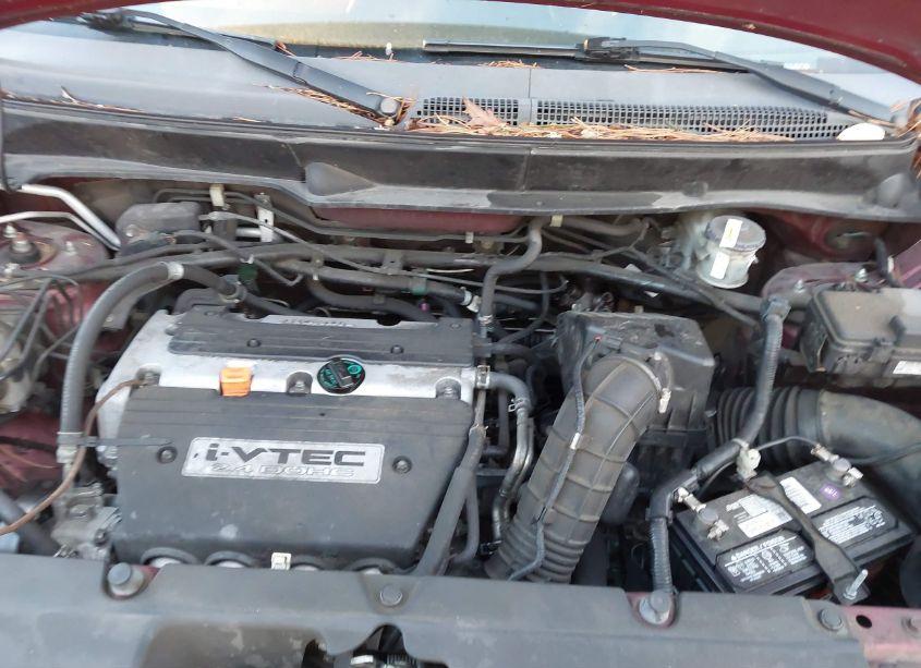 Photo 10 of 2008 Honda Element EX (VIN 5J6YH287X8L014632)