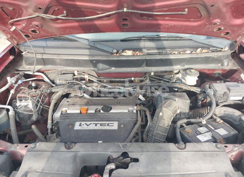 Photo 10 of 2010 Honda Element EX (VIN 5J6YH2H76AL008865)