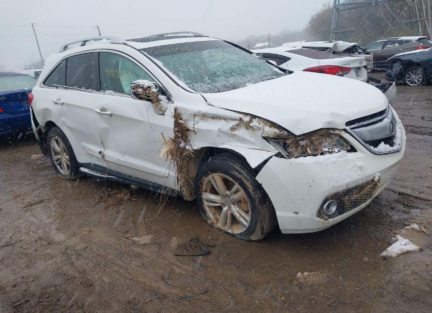 2013 Acura Rdx (VIN 5J8TB3H57DL010894) main photo