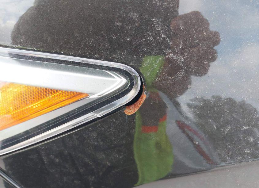 Photo 16 of 2014 Acura Rdx (VIN 5J8TB4H57EL003693)