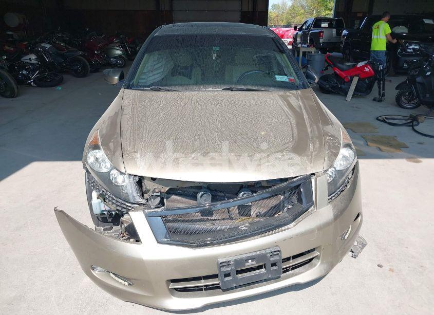 Photo 12 of 2009 Honda Accord 3.5 EX-L (VIN 5KBCP36849B502484)