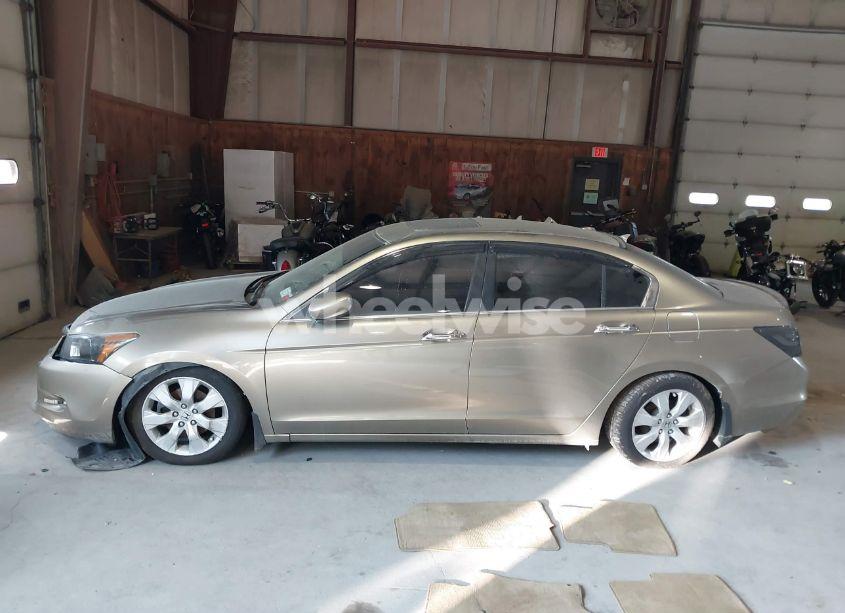 Photo 14 of 2009 Honda Accord 3.5 EX-L (VIN 5KBCP36849B502484)