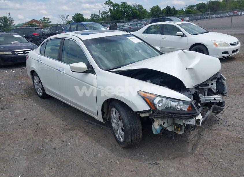 2009 Honda Accord 3.5 EX-L (VIN 5KBCP36899B002904) main photo