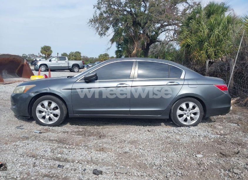 Photo 14 of 2010 Honda Accord 3.5 EX-L (VIN 5KBCP3F80AB008210)