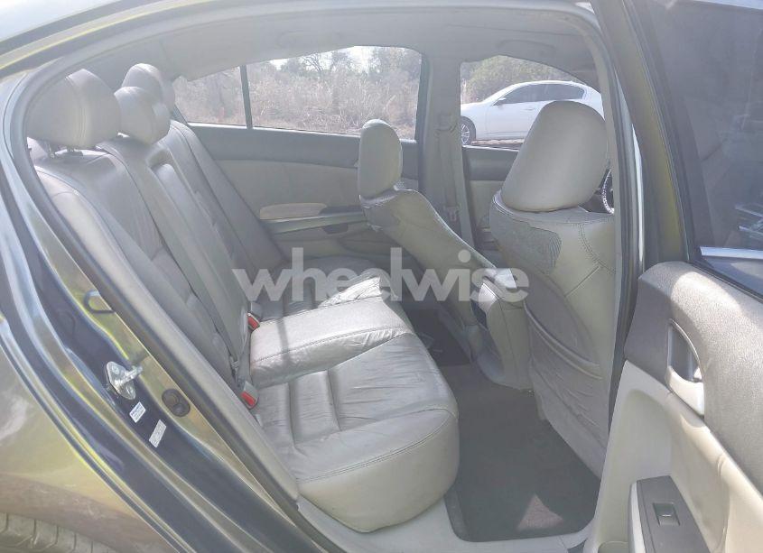 Photo 8 of 2010 Honda Accord 3.5 EX-L (VIN 5KBCP3F80AB008210)